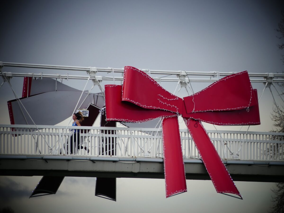 41. Novogodišnja Utrka Grada Osijeka (22)