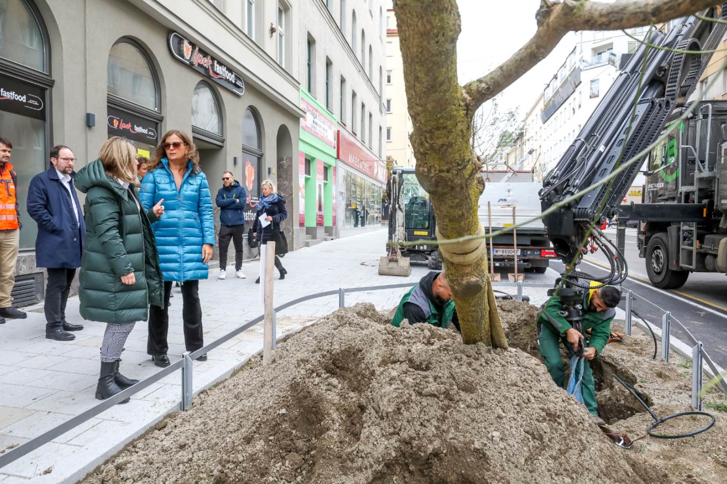 Sadnjom Ekstra Velikog Drveća Veći Je Pozitivni Učinak Na Klimu © Christian Fürthner Pid