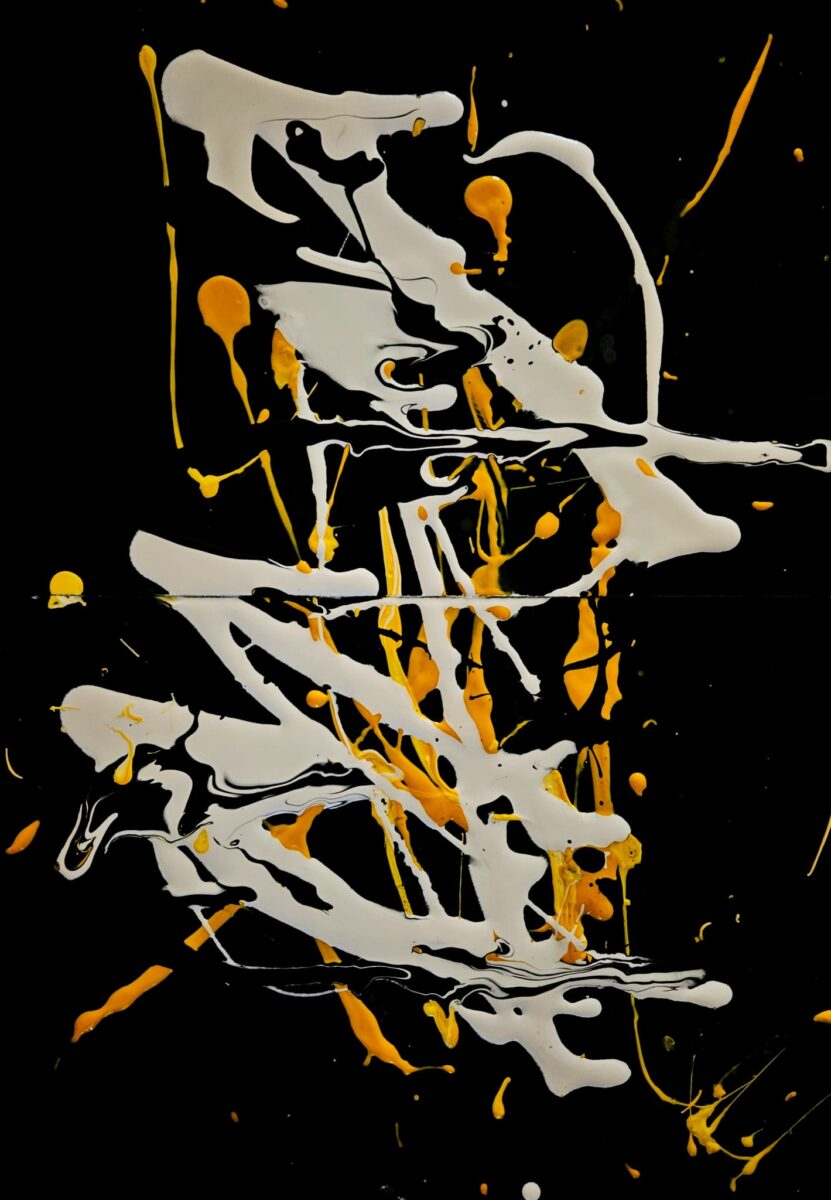 Niz živopisnih Kompozicija Duška Šibla (5)