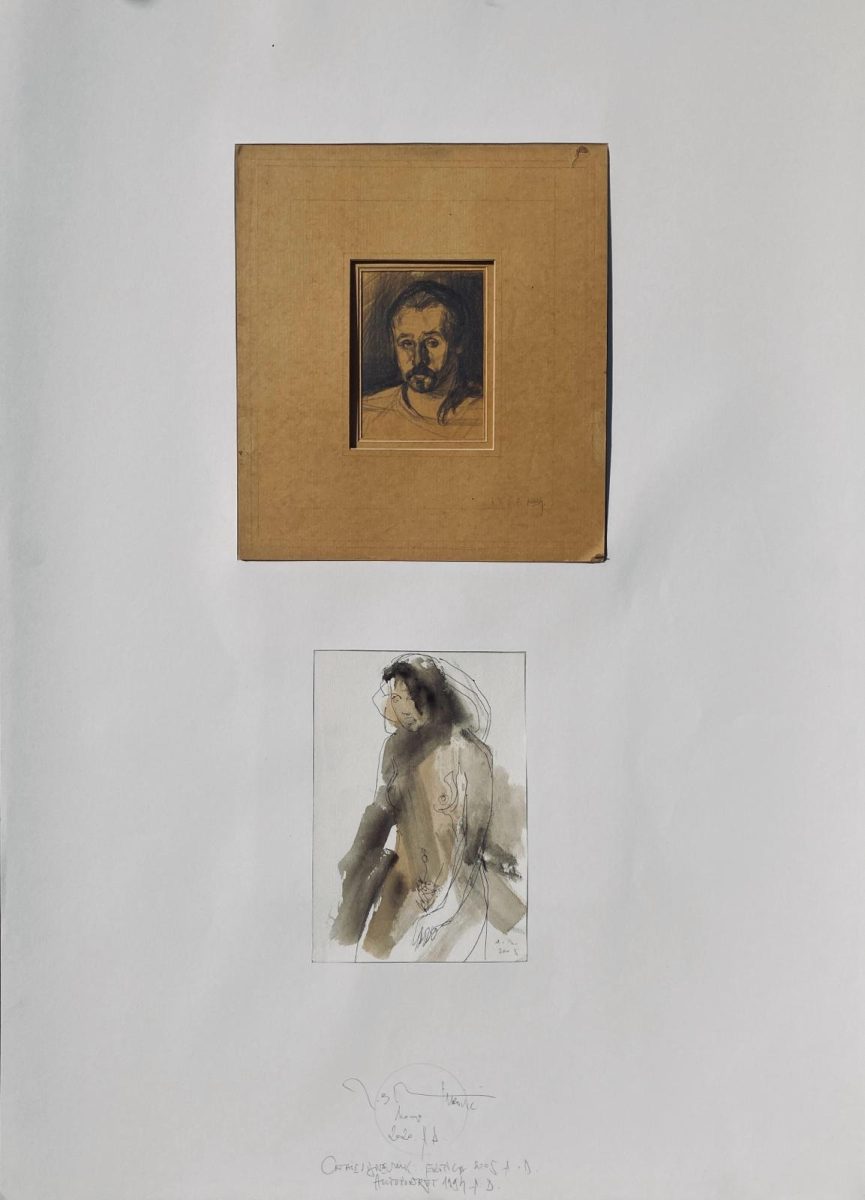 Iz Crtačevog Dnevnika Ivana Branka Imrovića (11)