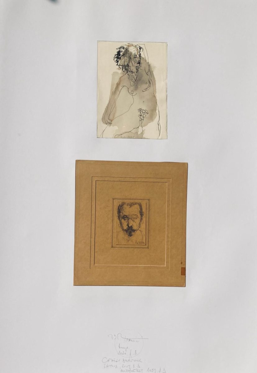 Iz Crtačevog Dnevnika Ivana Branka Imrovića (9)