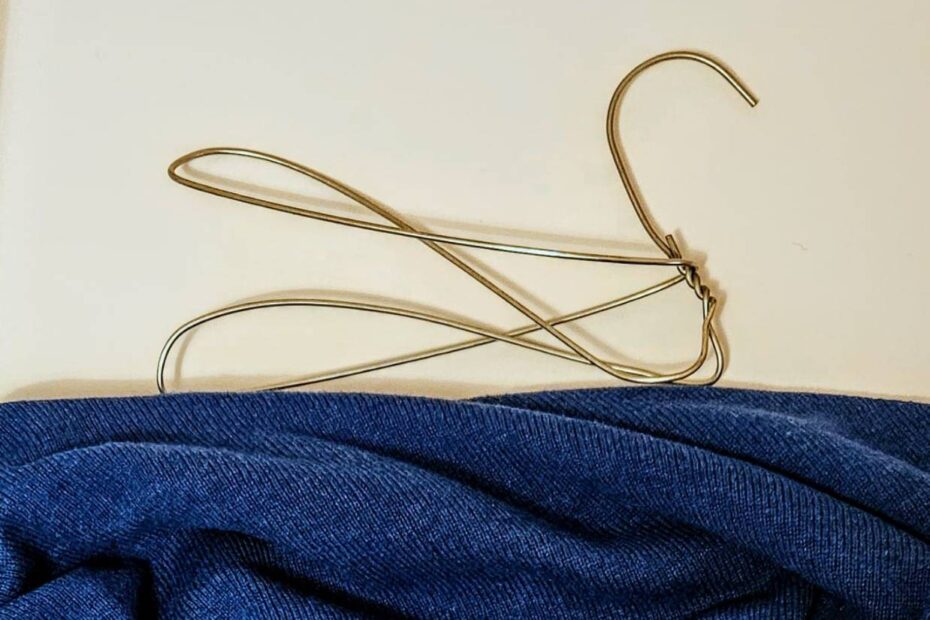 Labudovi Duška Šibla