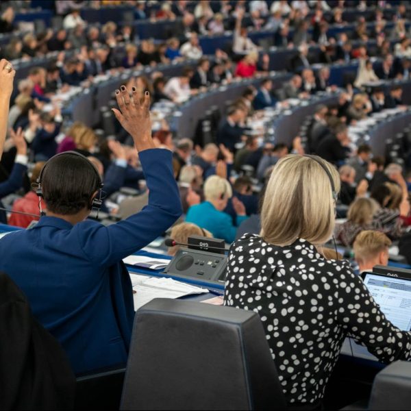 Europski izbori 6. – 9. lipnja 2024.