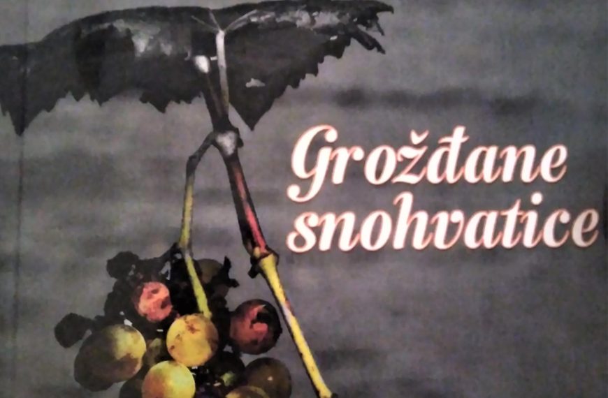 Grožđane snohvatice – nova zbirka Vesne Štulić