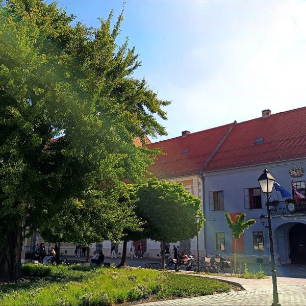 MEĐUNARODNI DAN MUZEJA 2024. U MUZEJU SLAVONIJE