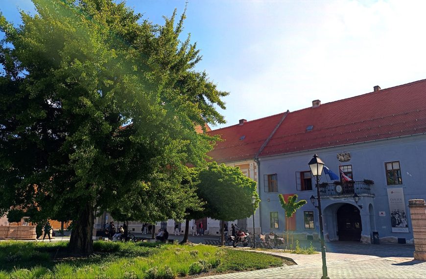 MEĐUNARODNI DAN MUZEJA 2024. U MUZEJU SLAVONIJE