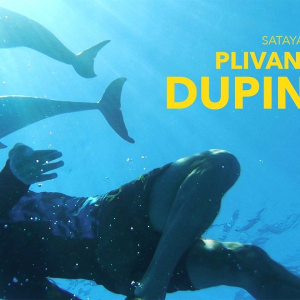 Plivanje s dupinima – Dokumentarni film