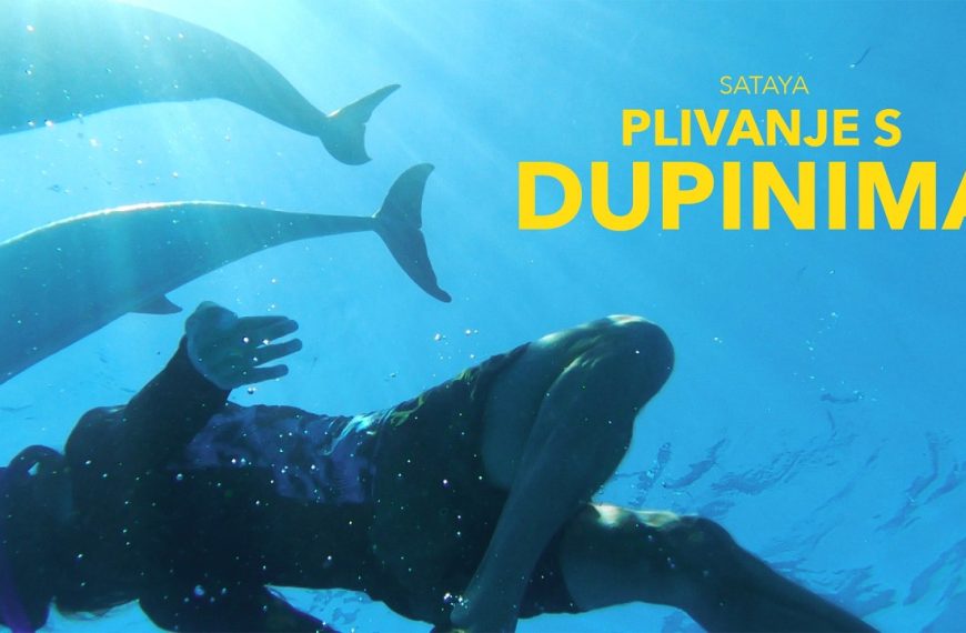 Plivanje s dupinima – Dokumentarni film