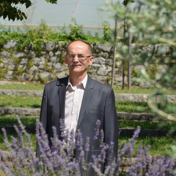 Čudotvorni  kip i slika Gospe Gradačke
