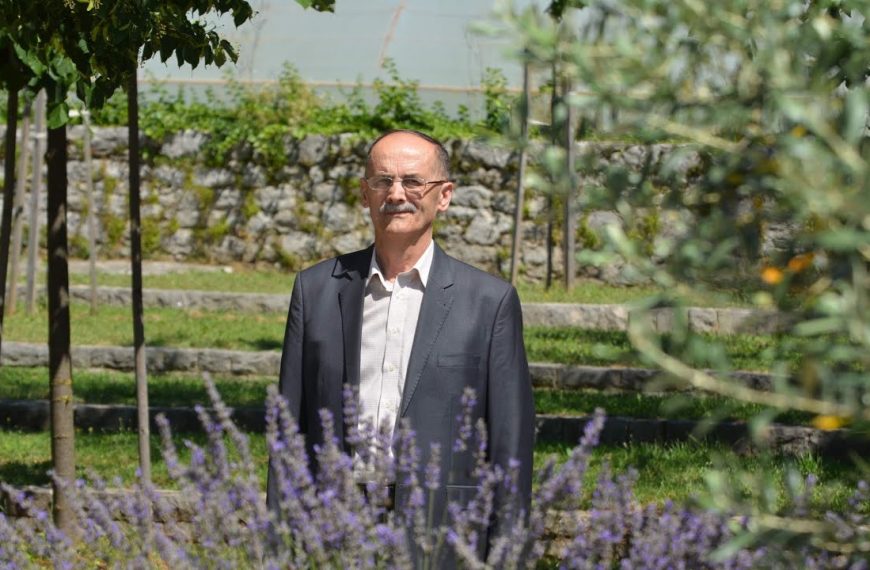 Čudotvorni  kip i slika Gospe Gradačke