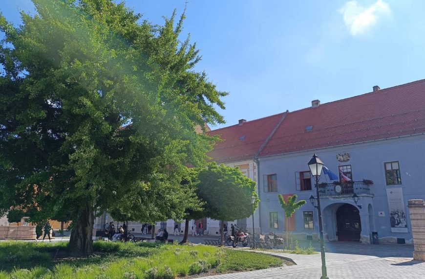 Knjižno nasljeđe obitelji Truhelka u Muzeju Slavonije – kulturno-povijesni kontekst