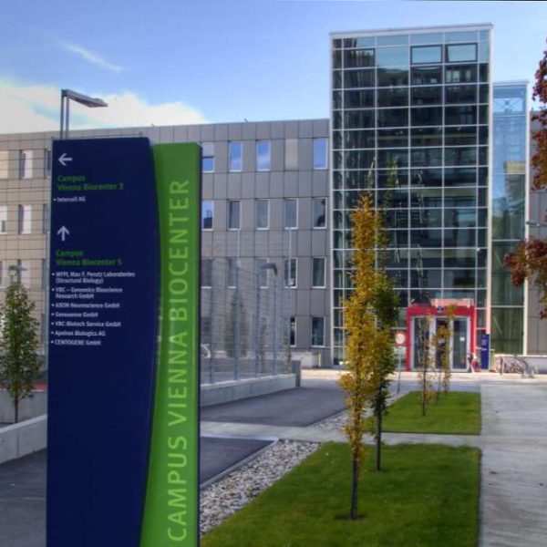 Beč dobiva institut za biomedicinska istraživanja uz pomoć umjetne inteligencije
