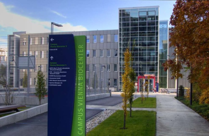 Beč dobiva institut za biomedicinska istraživanja uz pomoć umjetne inteligencije