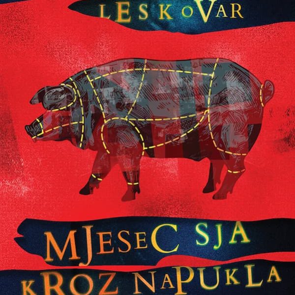 Osvrt na knjigu Mjesec sja kroz napukla rebra