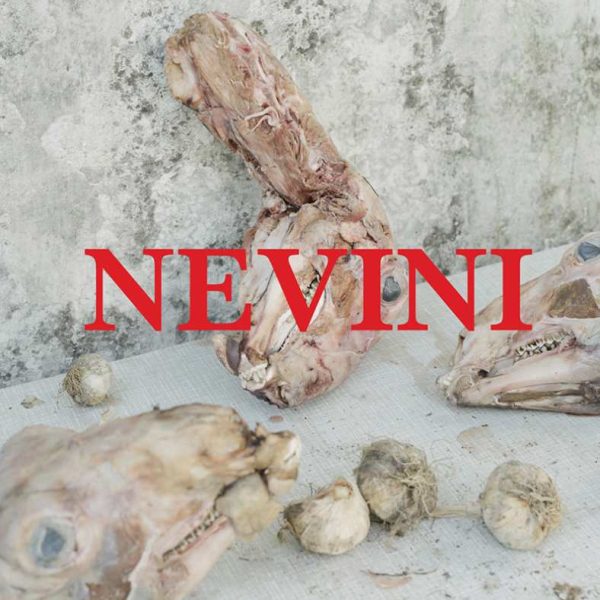 ČITAJMO DOMAĆE: Poziv na predstavljanje nove knjige Ene Katarine Haler, NEVINI