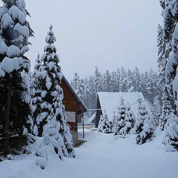 ŽABLJAK I DURMITOR – POD KROVOM VJEČNIH SNJEGOVA (III)