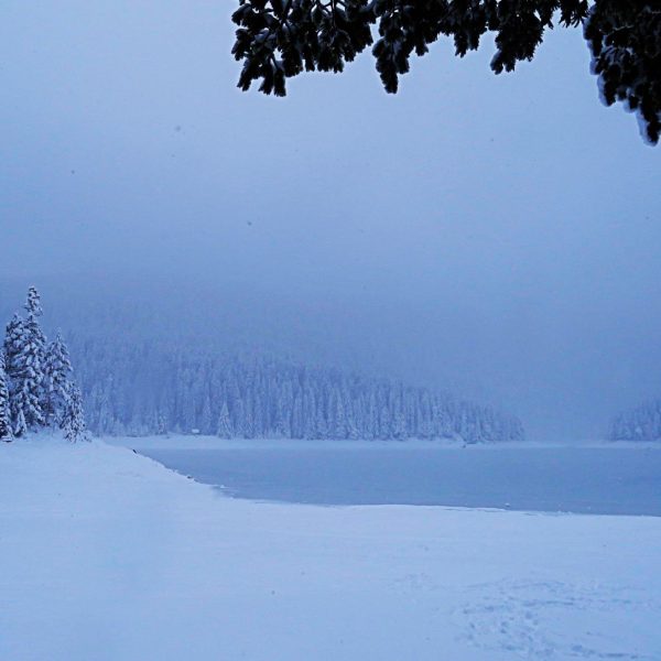 ŽABLJAK I DURMITOR – POD KROVOM VJEČNIH SNJEGOVA (I)