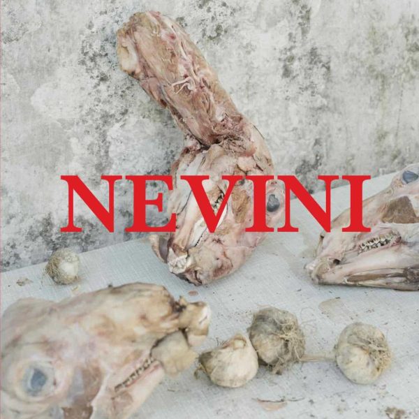 ČITAJMO DOMAĆE U RIJECI: Predstavljanje knjige nagrađivane Ene Katarine Haler “Nevini”