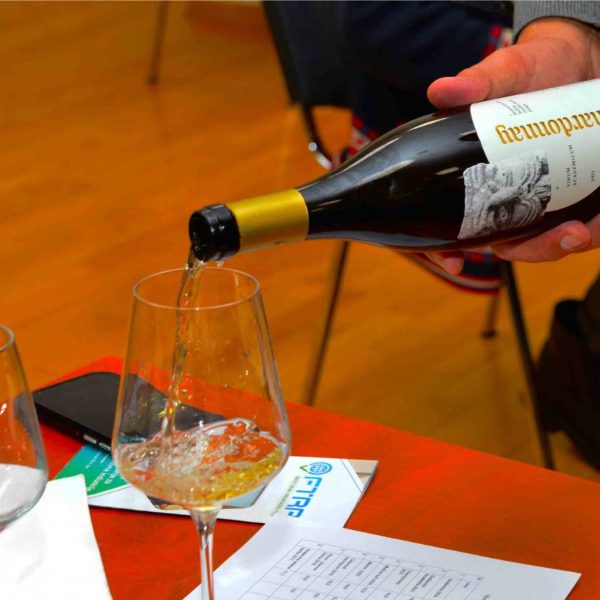 Fakultetska vinarija iz Vallis Auree