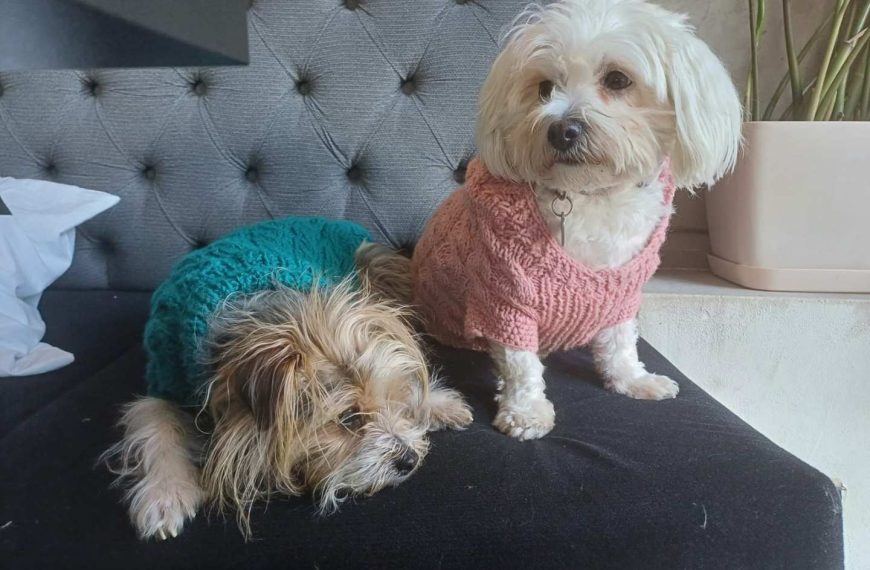 Branimir Karanović izlaže fotografije u Likovnoj galeriji Kulturnog centra u Vrbasu