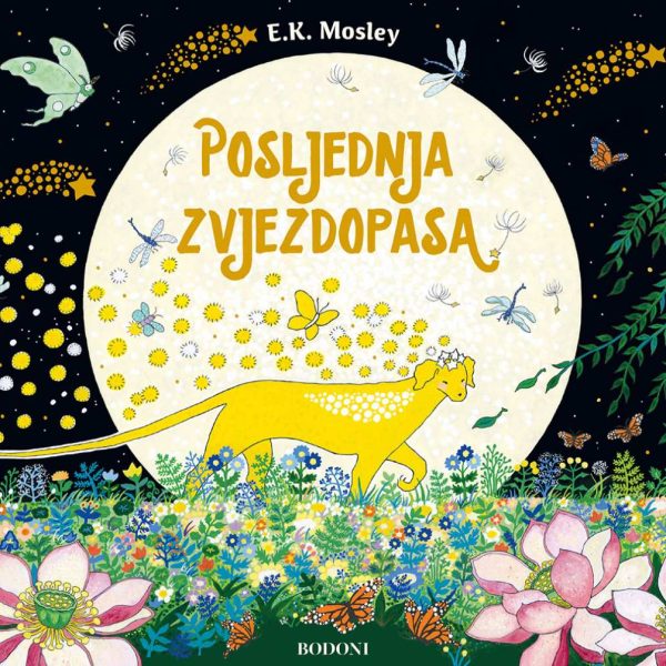 Osvrt na knjigu POSLJEDNJA ZVJEZDOPASA