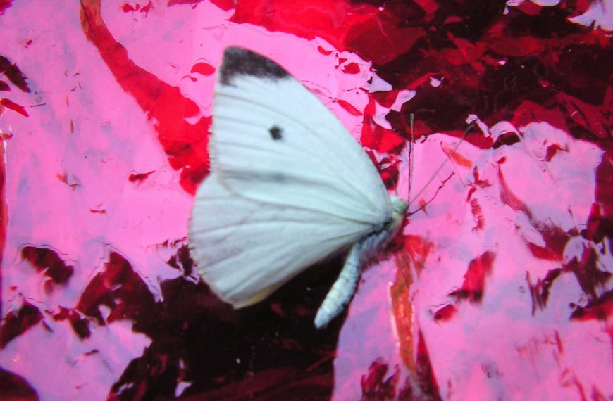 Umjetnost, muka i duhovnost – skupna izložba akademskih slikara