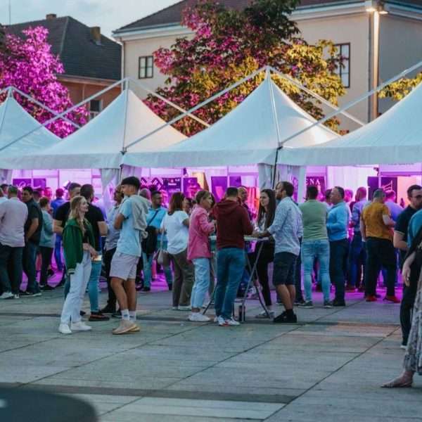Festival MoslaVina 23. i 24. svibnja u Kutini
