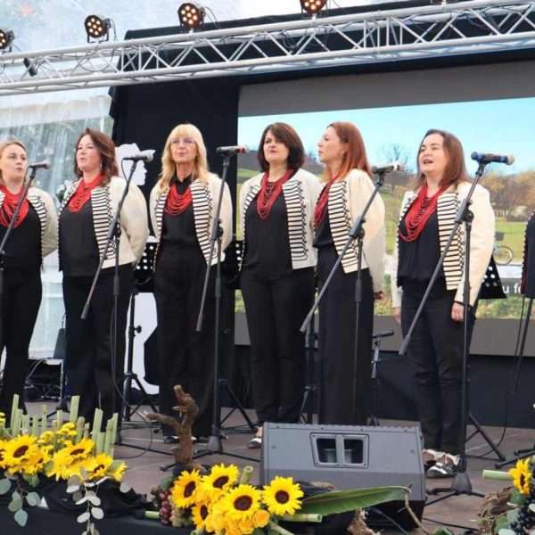 FESTIVAL VINA MOSLAVINA