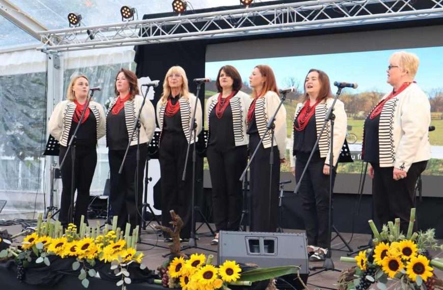 FESTIVAL VINA MOSLAVINA