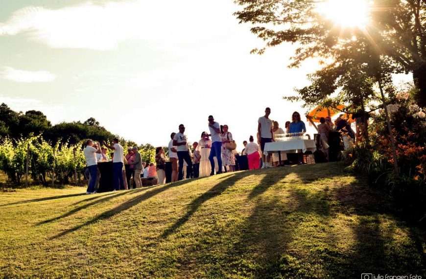 U vinogradu u Brodskom Stupniku uz vrhunska vina i evergrin glazbeni sastav Intermezzo