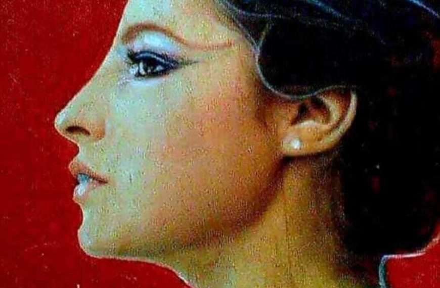 Povijesni portreti Damira Medvešeka