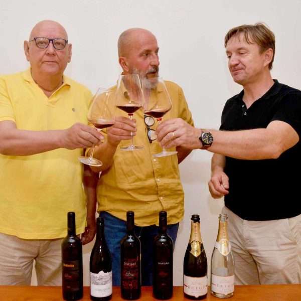 Vina sa Hršak brega