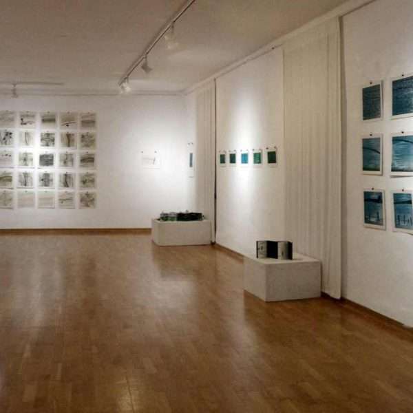Fulvia Grbac: VARIATIO NATURAE