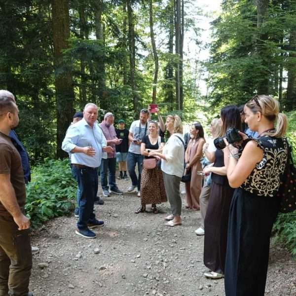 Upravljanje šumama i deforestacija