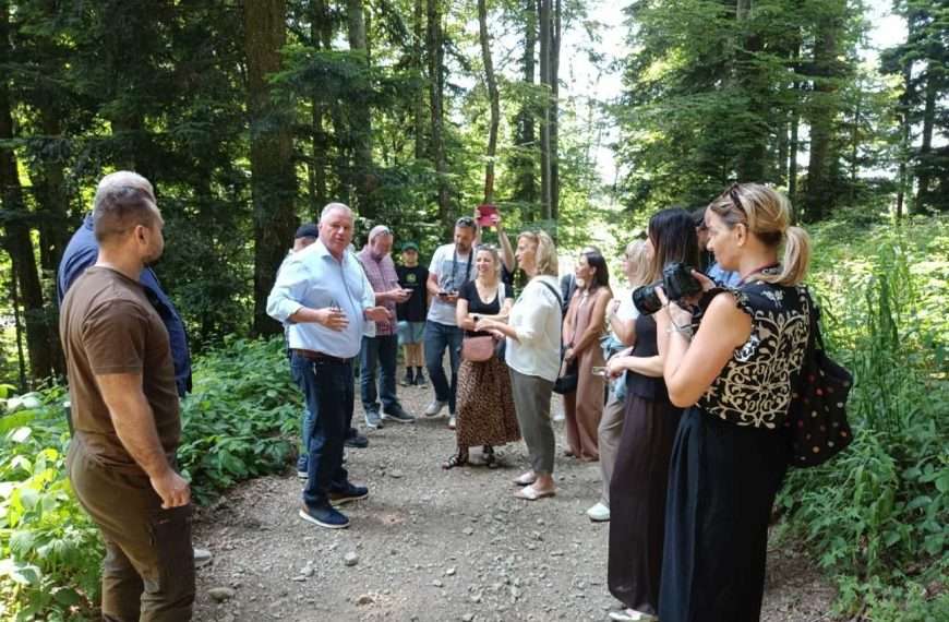 Upravljanje šumama i deforestacija