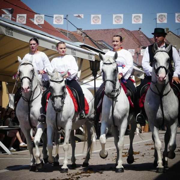 FOTO Đakovački vezovi – Svečana povorka KUD-ova i sudionika