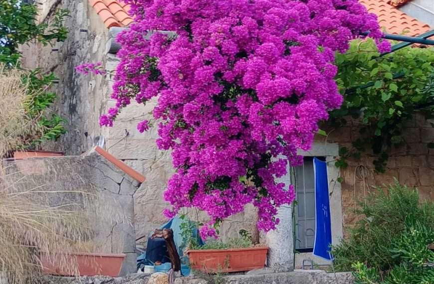 Četiri priče Tea Trostmanna