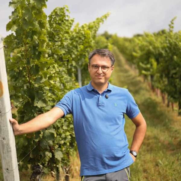 U Središnjoj bregovitoj Hrvatskoj počela berba