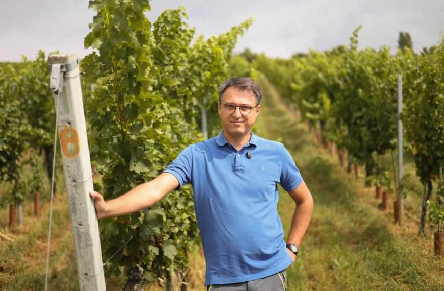 U Središnjoj bregovitoj Hrvatskoj počela berba