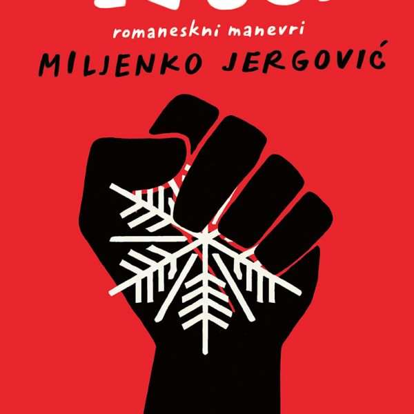 Prilog o knjizi 1983. romaneskni manevri
