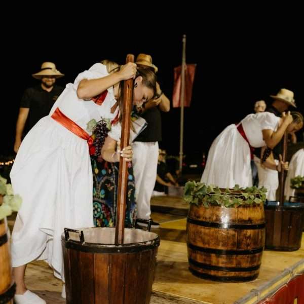 RUŽICA VINODOLA, manifestacija koja više od dva desetljeća slavi ljepotu i bogatu vinsku tradiciju