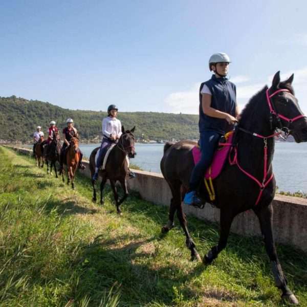 Hrvatski reprezentativci spremni su za Balkansko prvenstvo u daljinskom jahanju