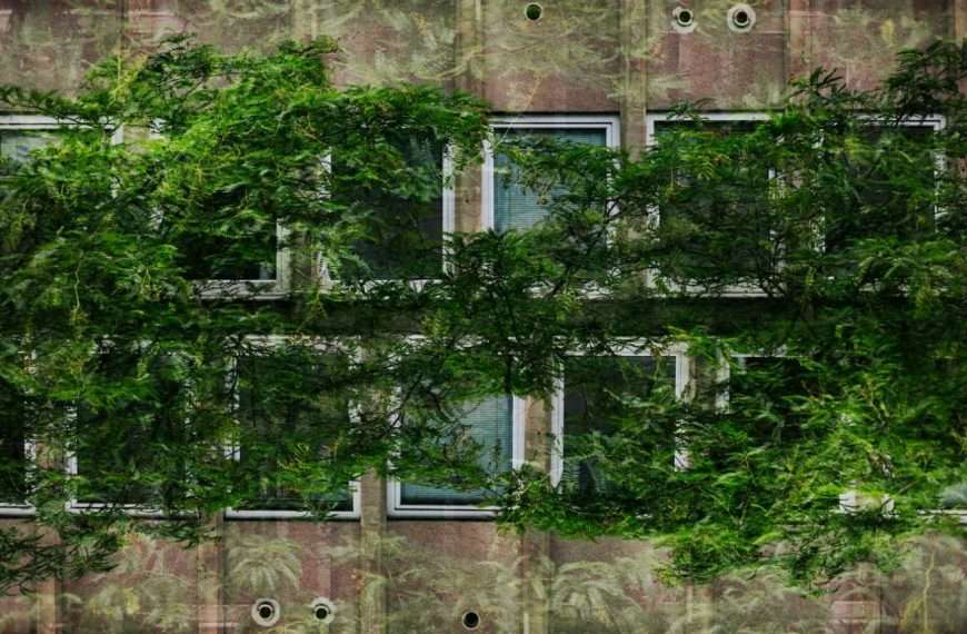 Samir Cerić Kovačević: REALNOST NA UPITU