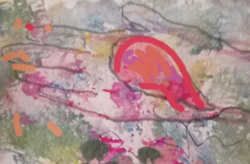 Rafinirane ilustracije Ivane Jovanović Trostmann u knjizi Svjetlane Lipanović La notte delle stelle cadenti – Noć padajućih zvijezda