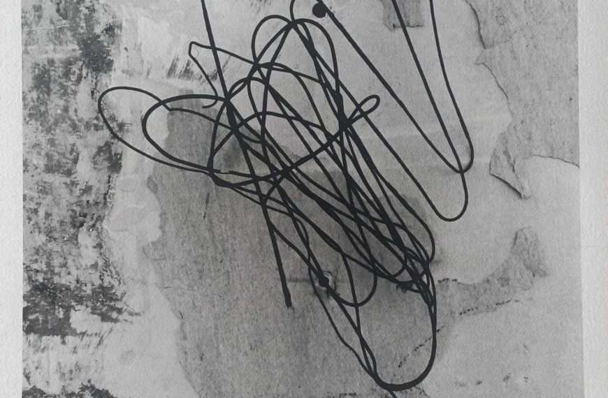 Izložba crteža na fotografijama i grafikama Branimira Karanovića