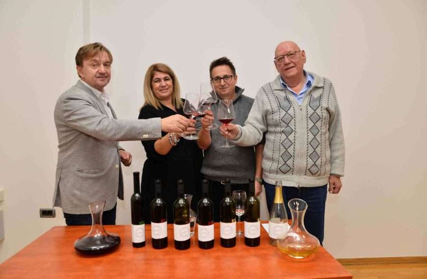 Knin stvara svoje vinogorje