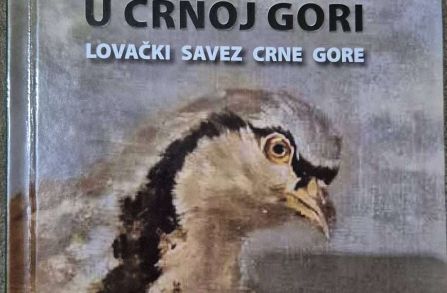 JAREBICA KAMENJARKA SIMBOL PLANINA CRNE GORE I NOVA MISIJA NJENOG OČUVANJA