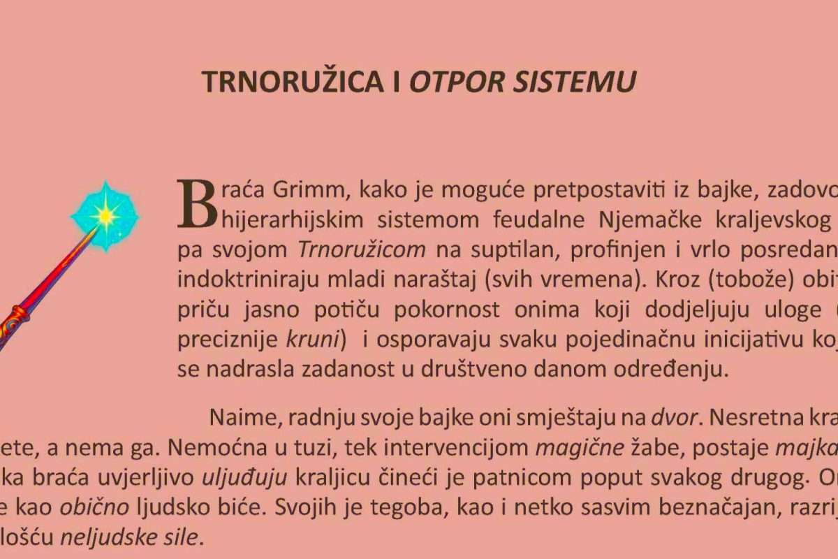 Željka Pintar: Trnoružica i otpor sistemu