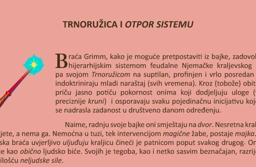 Željka Pintar: Trnoružica i otpor sistemu