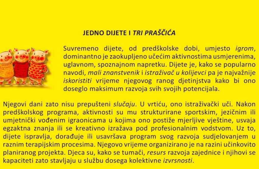 Željka Pintar: Jedno dijete i tri praščića